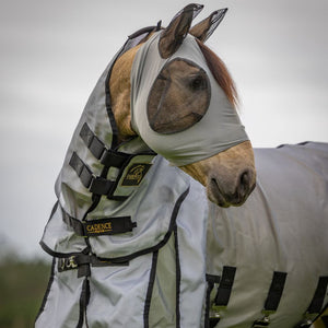 Fly Force - Fly Sheet 6