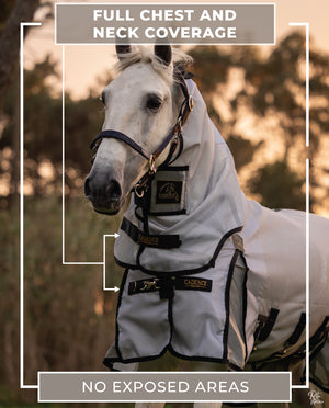 Fly Force - Fly Sheet 11