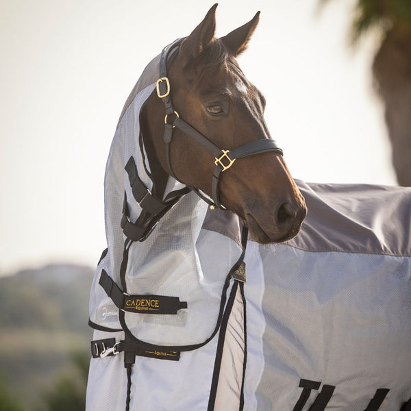 Hybrid Fly Sheets Cadence Equine