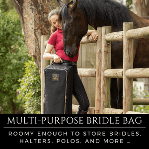 Double-Sided Bridle Bag 7