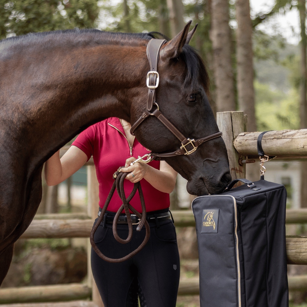 Double Sided Bridle Bag Cadence Equine