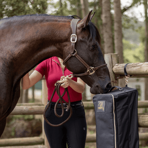 Equestrian Bags and Luggage Bridle Bag 2