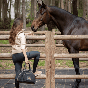 Equestrian Helmet Bag