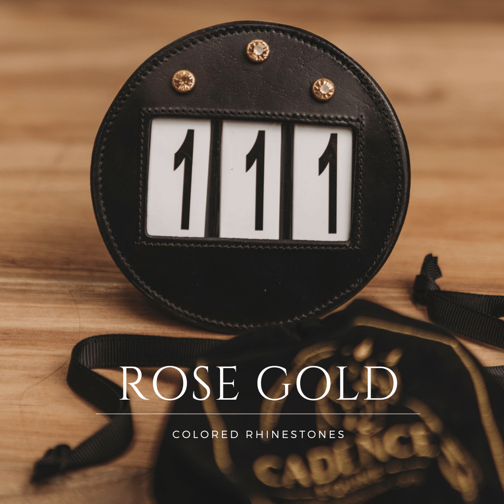 Leather Equestrian Bridle Number2