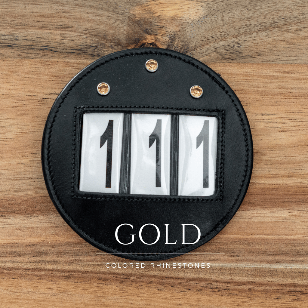 Leather Equestrian Bridle Number 4