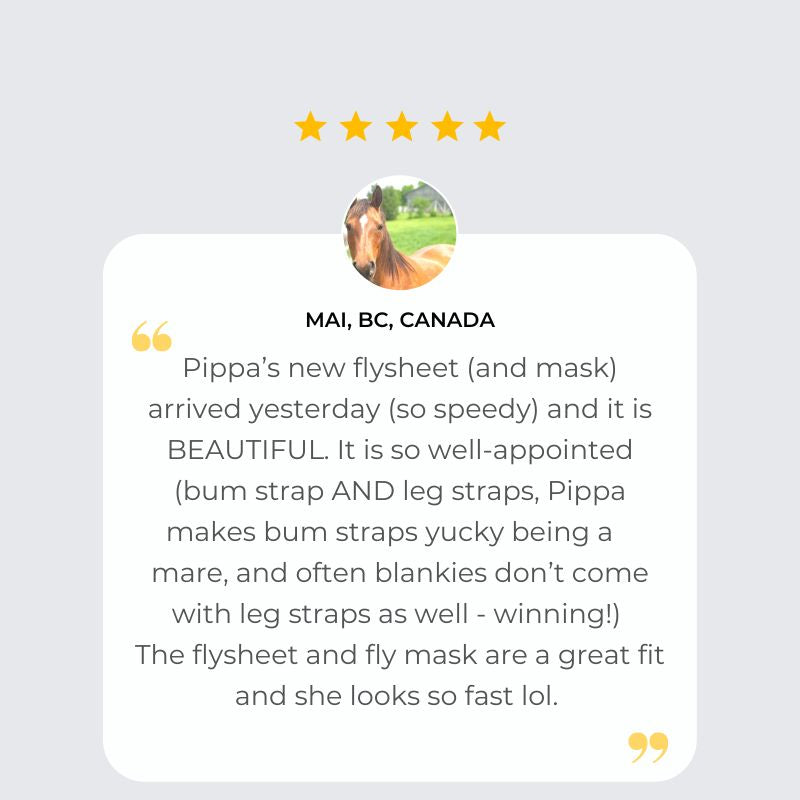 Customer Review 