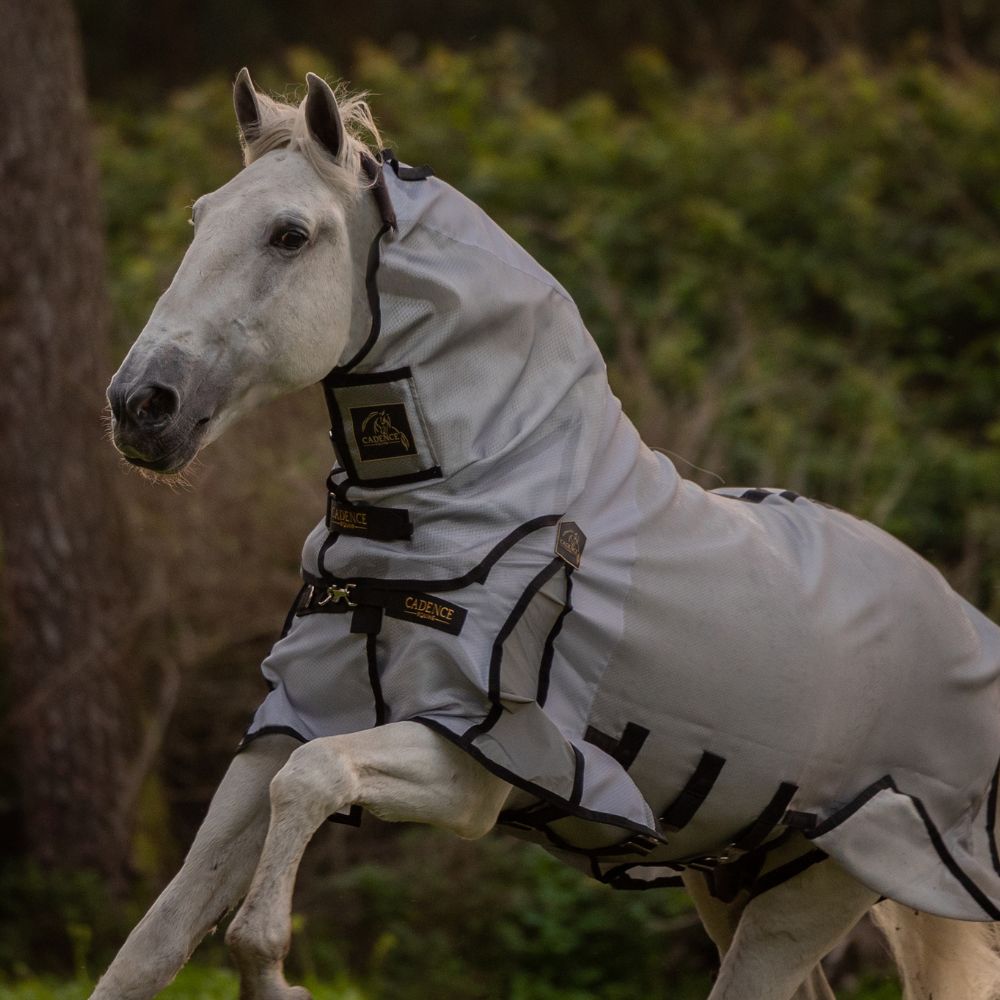 Fly Force - Fly Sheet 10