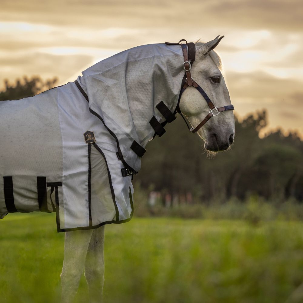 Fly Force - Fly Sheet 12