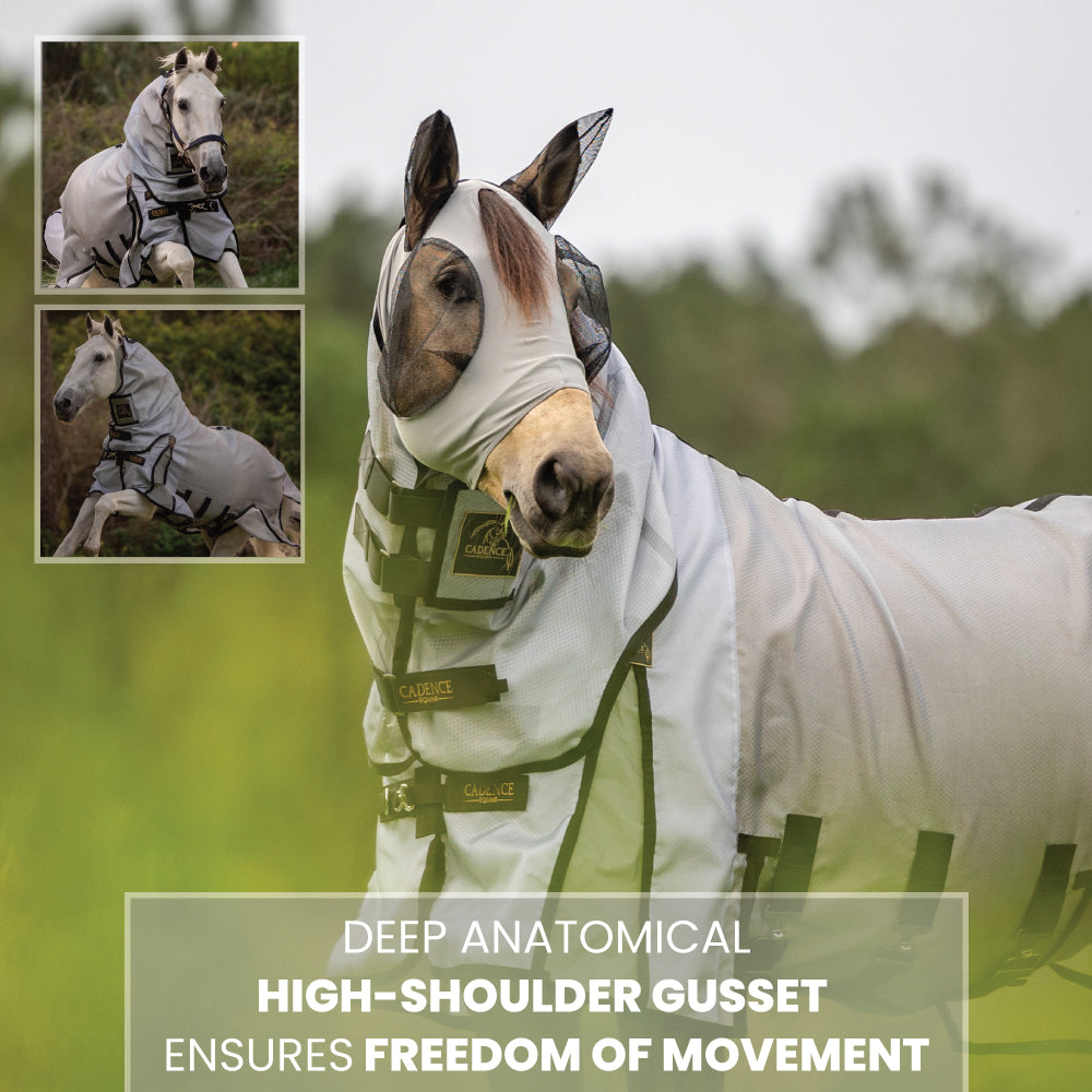 Fly Force - Fly Sheet 8