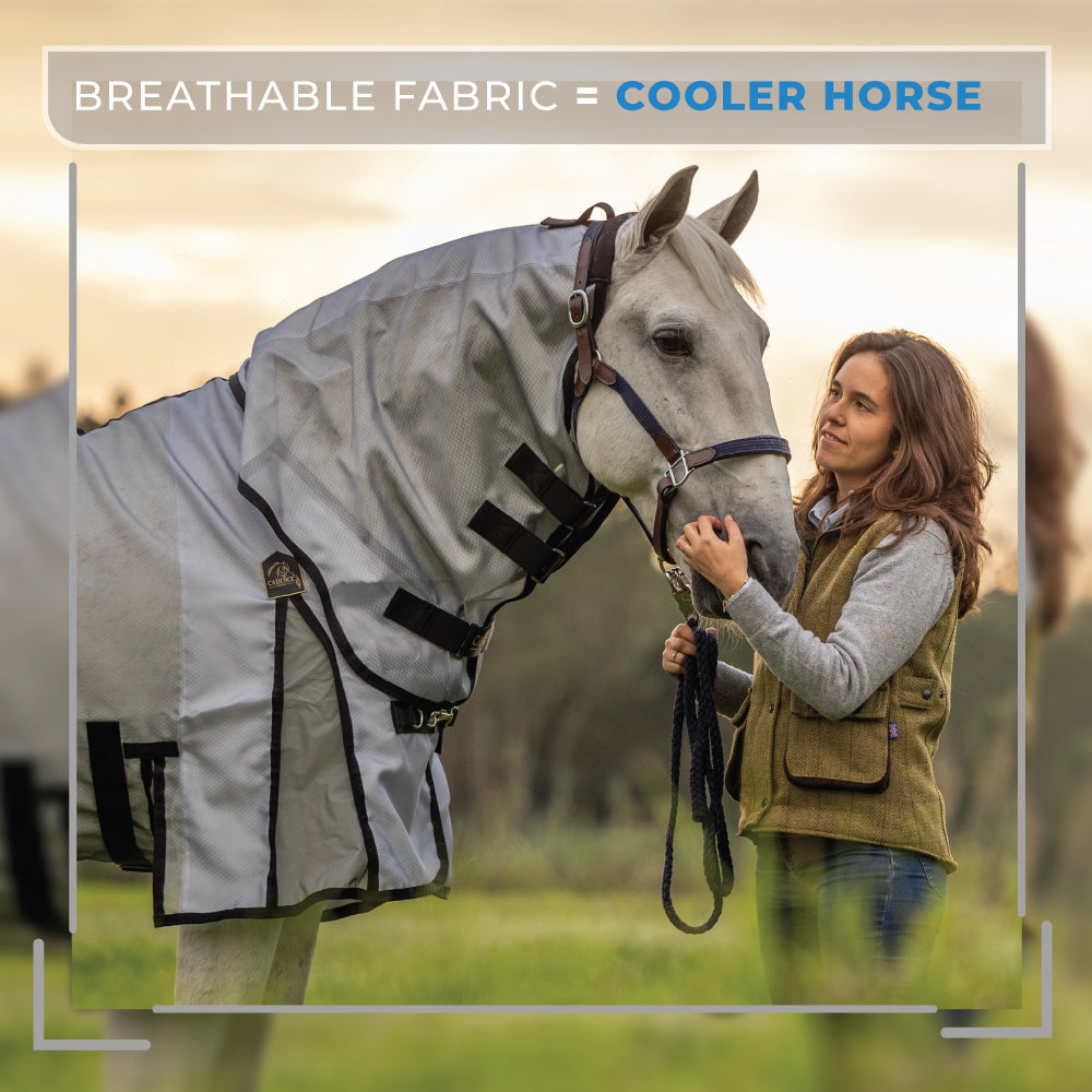 Fly Force - Fly Sheet2